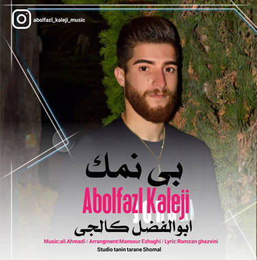 ابوالفضل کالجی بی نمک